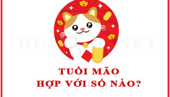 Tuoi-Mao-hop-voi-so-nao-theo-phong-thuy-4562