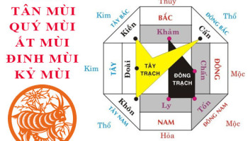 Tuoi-Mui-hop-huong-nao-3897