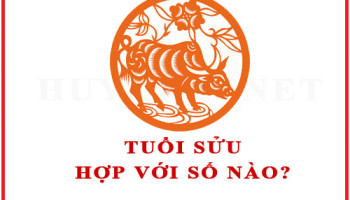 Tuoi-Suu-hop-voi-so-nao-theo-phong-thuy-4548