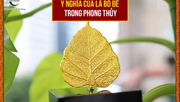 la-bo-de-phong-thuy-284-226773