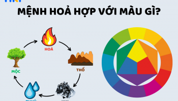 mau-hop-trong-kinh-doanh-284-224055