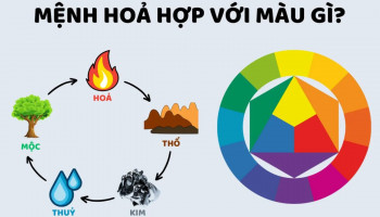 menh-hoa-hop-mau-gi-284-191399