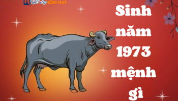 sinh-nam-1973-menh-gi