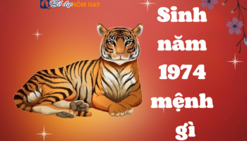 sinh-nam-1974-menh-gi