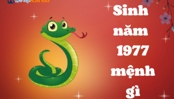 sinh-nam-1977-menh-gi