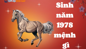 sinh-nam-1978-menh-gi