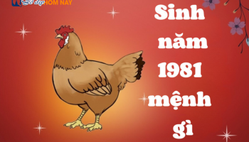 sinh-nam-1981-menh-gi