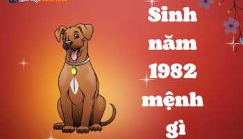 sinh-nam-1982-menh-gi