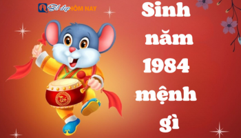 sinh-nam-1984-menh-gi