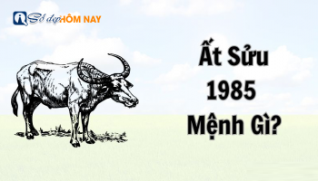 sinh-nam-1985-menh-gi