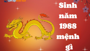 sinh-nam-1988-menh-gi