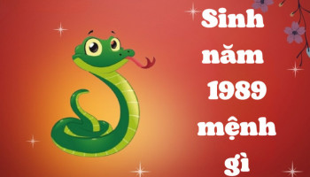 sinh-nam-1989-menh-gi