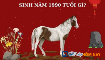 sinh-nam-1990-menh-gi