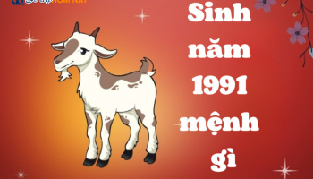 sinh-nam-1991-menh-gi