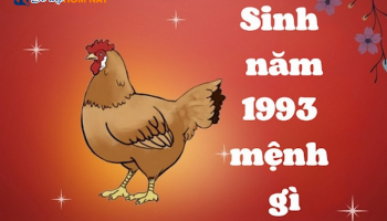 sinh-nam-1993-la-menh-gi