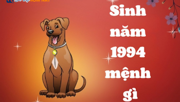 sinh-nam-1994-menh-gi