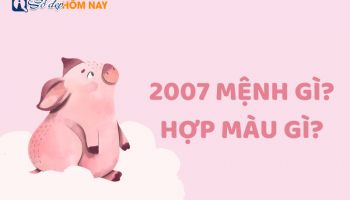 sinh-nam-2007-menh-gi