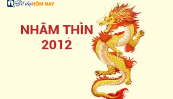 sinh-nam-2012-menh-gi