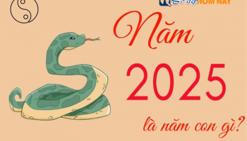 sinh-nam-2025-menh-gi