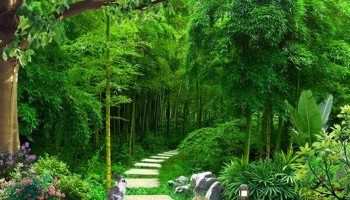 tranh-cay-tre-phong-thuy-284-224485