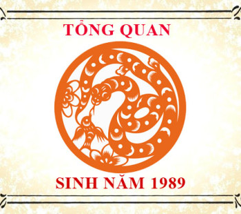 Sinh-nam-1989-menh-gi-tuoi-gi-va-hop-mau-gi-3391