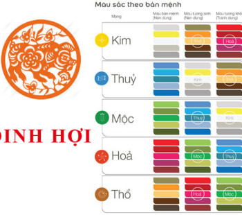 Sinh-nam-2007-Dinh-Hoi-hop-voi-mau-gi-mua-xe-mau-gi-3760