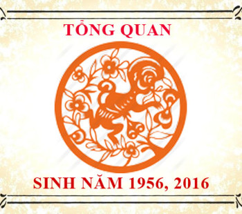 Sinh-nam-2016-menh-gi-tuoi-gi-va-hop-mau-gi-3737