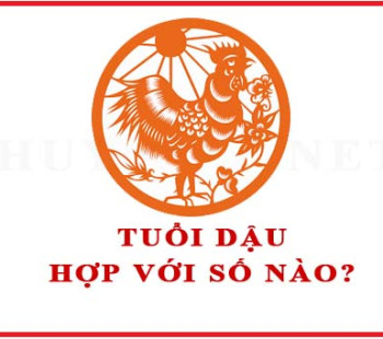 Tuoi-Dau-hop-voi-so-nao-theo-phong-thuy-4646