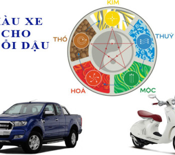 Tuoi-Dau-mua-xe-mau-gi-hop-menh-3092