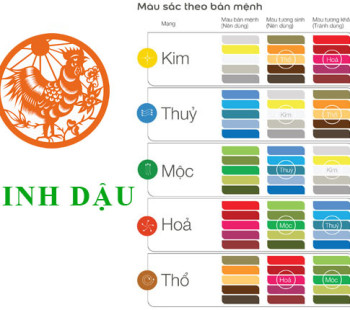 Tuoi-Dinh-Dau-hop-voi-mau-gi-va-ky-mau-sac-nao-nhat-4146