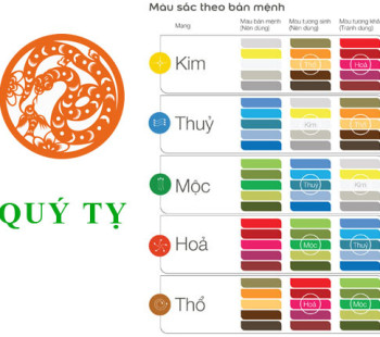Tuoi-Quy-Ty-hop-voi-mau-gi-va-ky-mau-sac-nao-nhat--4130
