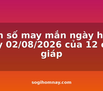 con-so-may-man-ngay-hom-nay-02082026-cua-12-con-giap