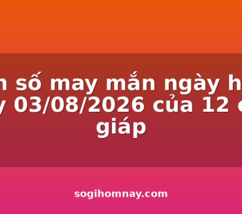con-so-may-man-ngay-hom-nay-03082026-cua-12-con-giap
