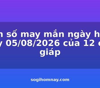 con-so-may-man-ngay-hom-nay-05082026-cua-12-con-giap