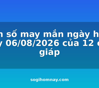 con-so-may-man-ngay-hom-nay-06082026-cua-12-con-giap