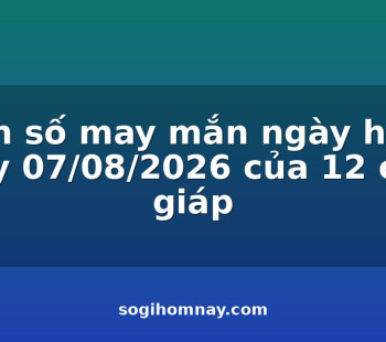 con-so-may-man-ngay-hom-nay-07082026-cua-12-con-giap