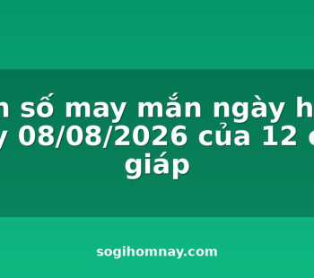 con-so-may-man-ngay-hom-nay-08082026-cua-12-con-giap