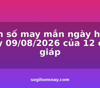 con-so-may-man-ngay-hom-nay-09082026-cua-12-con-giap