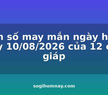 con-so-may-man-ngay-hom-nay-10082026-cua-12-con-giap