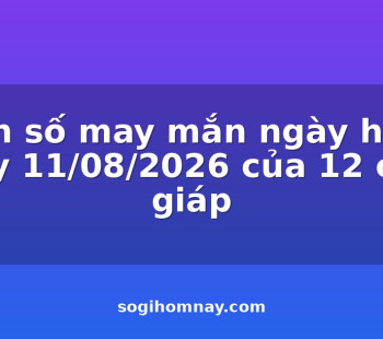 con-so-may-man-ngay-hom-nay-11082026-cua-12-con-giap