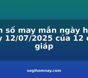 con-so-may-man-ngay-hom-nay-12072025-cua-12-con-giap