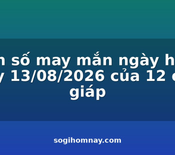 con-so-may-man-ngay-hom-nay-13082026-cua-12-con-giap