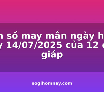con-so-may-man-ngay-hom-nay-14072025-cua-12-con-giap