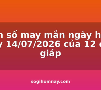 con-so-may-man-ngay-hom-nay-14072026-cua-12-con-giap