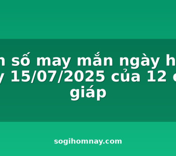 con-so-may-man-ngay-hom-nay-15072025-cua-12-con-giap