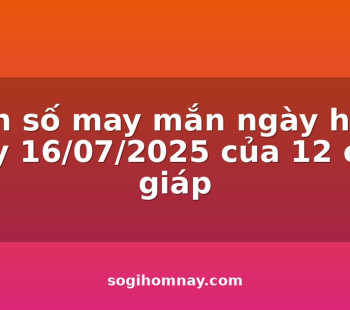 con-so-may-man-ngay-hom-nay-16072025-cua-12-con-giap