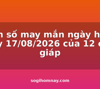 con-so-may-man-ngay-hom-nay-17082026-cua-12-con-giap