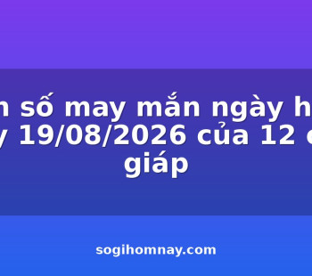 con-so-may-man-ngay-hom-nay-19082026-cua-12-con-giap