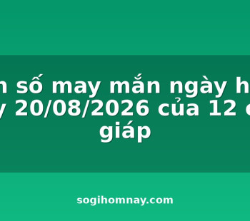 con-so-may-man-ngay-hom-nay-20082026-cua-12-con-giap