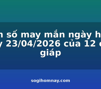 con-so-may-man-ngay-hom-nay-23042026-cua-12-con-giap